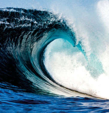 policy-tsunami.jpg